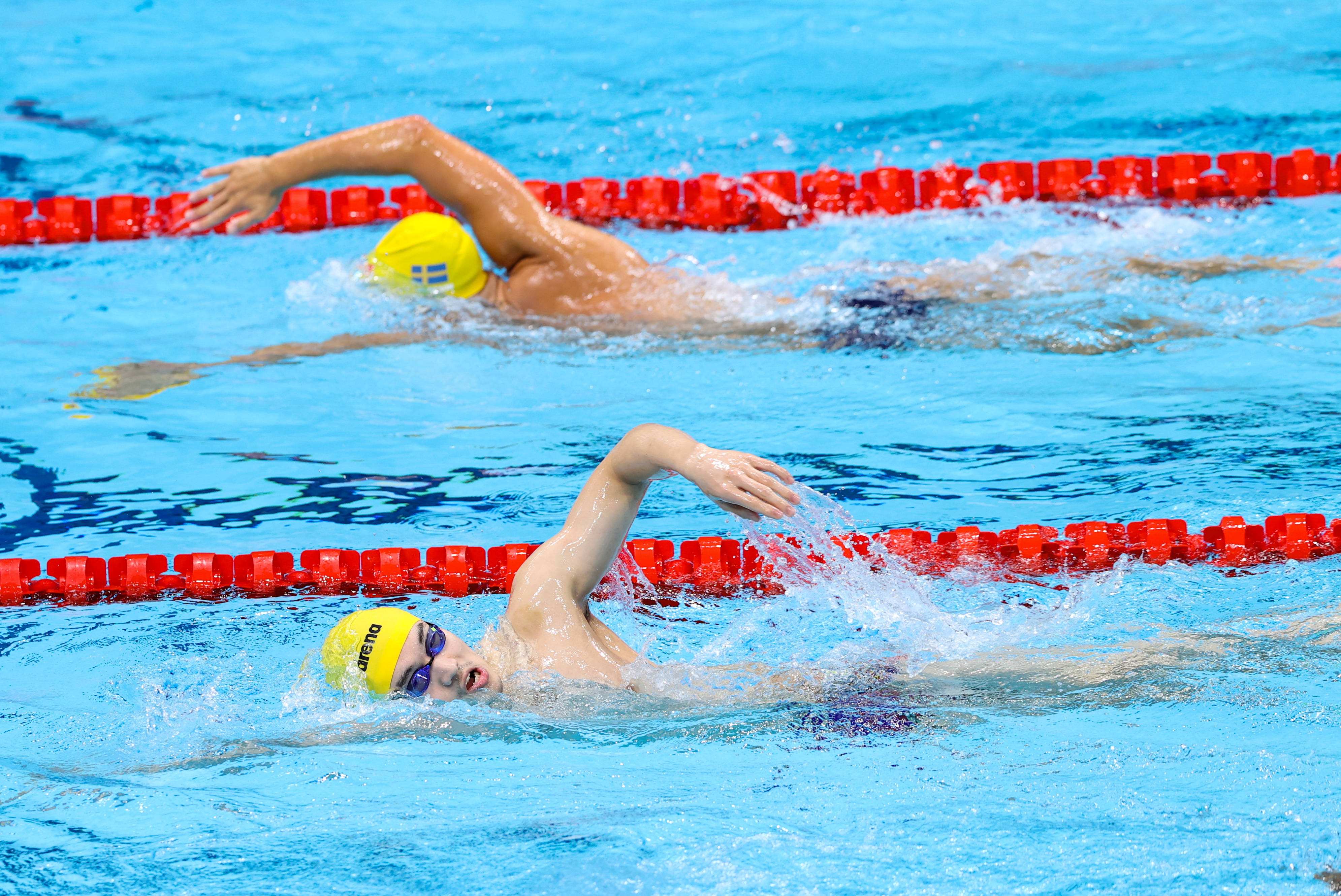 中国跳水队公布世锦赛名单 全红婵等6位奥运冠军领衔
