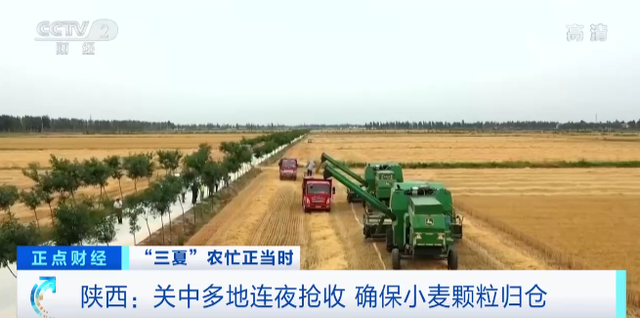 农业农村部：全国已收获小麦面积2.39亿亩 收获进度近八成