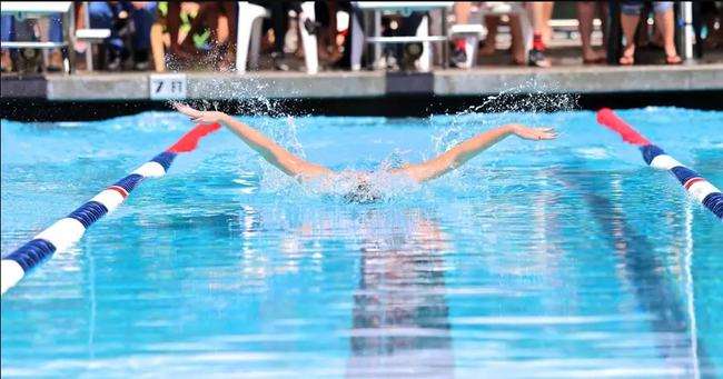 国际泳联公布新规：限制跨性别运动员参加女子比赛
