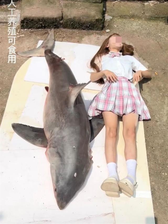 网红“提子”被曝食用幼年大白鲨！自称是人工养殖，警方已介入 网红“提子”被曝食用