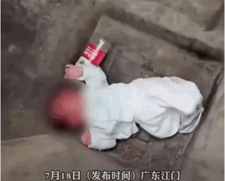 父母太狠心了：广东江门一名刚出生的婴儿被扔在垃圾桶
