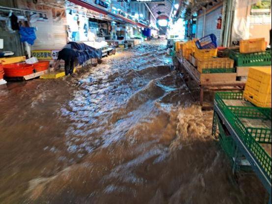 韩国首尔遇80年来最大降雨已致7死9伤6失踪